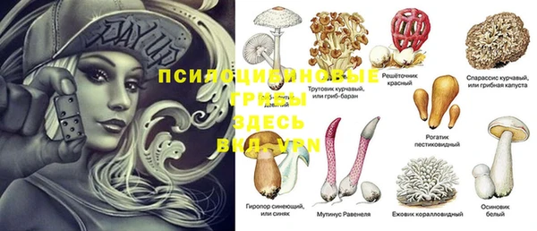 СК Алексеевка