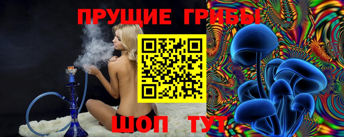 Псилоцибиновые грибы мухоморы  Вход с VPN  Камышлов  Псилоцибиновые грибы Cubensis 