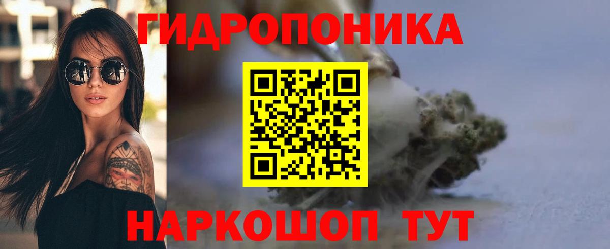 Камышлов  МАРИХУАНА White Widow  Каннабис Amnesia  Марихуана планчик  Вход с VPN 